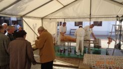 idosek-vilagnapja-2017