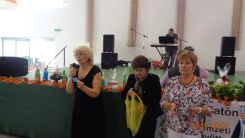 idosek-vilagnapja-2017