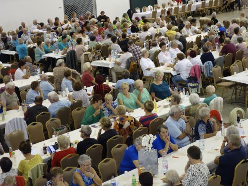 idosek-vilagnapja-2023