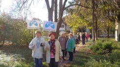 tudogyulladas-vilagnapja-2016