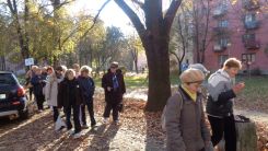 tudogyulladas-vilagnapja-2016