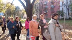 tudogyulladas-vilagnapja-2016