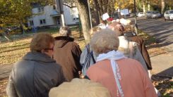 tudogyulladas-vilagnapja-2016