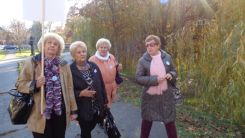 tudogyulladas-vilagnapja-2016