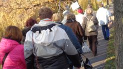 tudogyulladas-vilagnapja-2016