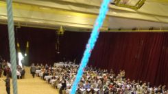 idosek-vilagnapja-2016