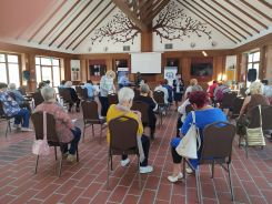 idosek-vilagnapja-2020