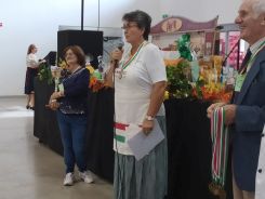 idosek-vilagnapja-2020