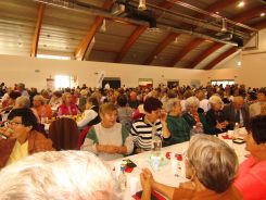 idosek-vilagnapja-2022